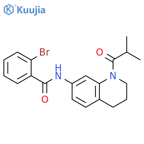2-bromo-N-[1-(2-methylpropanoyl)-1,2,3,4-tetrahydroquinolin-7-yl]benzamide structure
