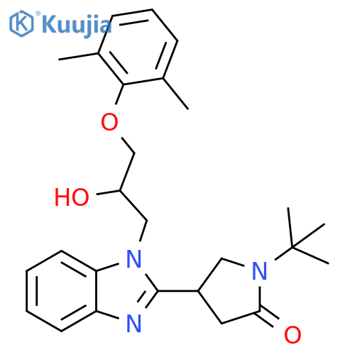 1-tert-butyl-4-{1-[3-(2,6-dimethylphenoxy)-2-hydroxypropyl]-1H-1,3-benzodiazol-2-yl}pyrrolidin-2-one structure