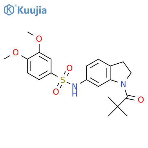 N-[1-(2,2-dimethylpropanoyl)-2,3-dihydro-1H-indol-6-yl]-3,4-dimethoxybenzene-1-sulfonamide structure