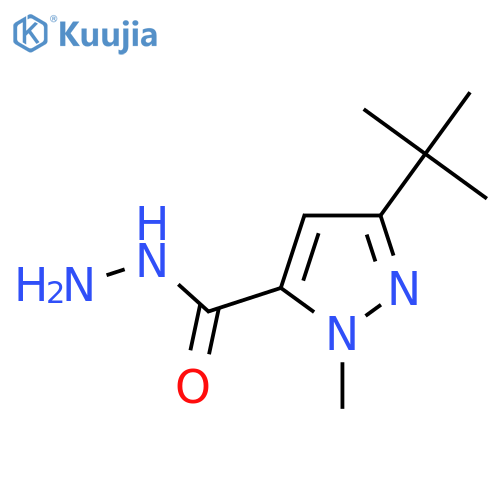 5-Tert-butyl-2-methyl-2H-pyrazole-3-carboxylic acid hydrazide structure