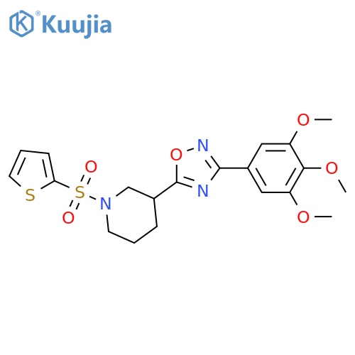 1-(thiophene-2-sulfonyl)-3-[3-(3,4,5-trimethoxyphenyl)-1,2,4-oxadiazol-5-yl]piperidine structure