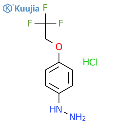 4-(2,2,2-Trifluoroethoxy)phenylhydrazine Hydrochloride structure