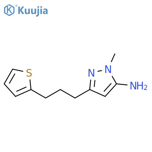 1-methyl-3-3-(thiophen-2-yl)propyl-1H-pyrazol-5-amine structure