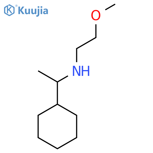 (1-Cyclohexylethyl)(2-methoxyethyl)amine structure