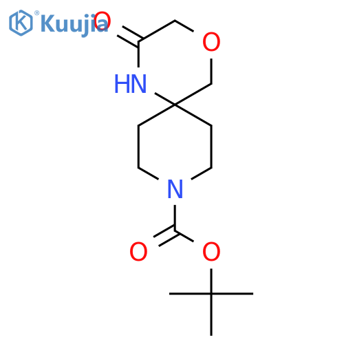 tert-butyl 2-oxo-4-oxa-1,9-diazaspiro[5.5]undecane-9-carboxylate structure