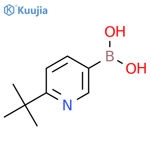 2-tert-butyl-pyridine-5-boronic acid structure