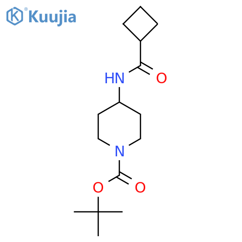 Tert-Butyl 4-(cyclobutanecarbonylamino)piperidine-1-carboxylate structure