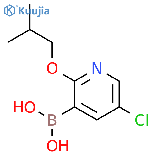 5-Chloro-2-isobutoxypyridine-3-boronic acid structure