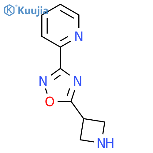 2-5-(azetidin-3-yl)-1,2,4-oxadiazol-3-ylpyridine structure