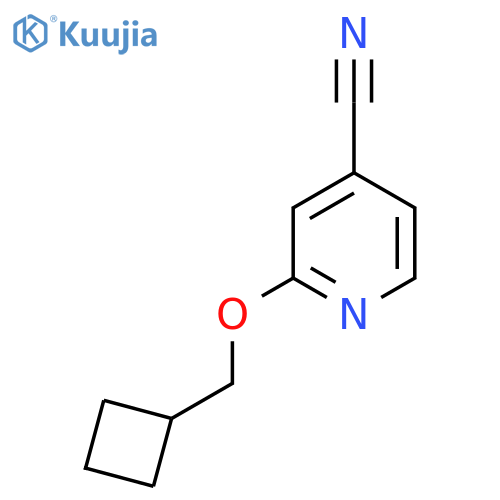 2-(cyclobutylmethoxy)pyridine-4-carbonitrile structure