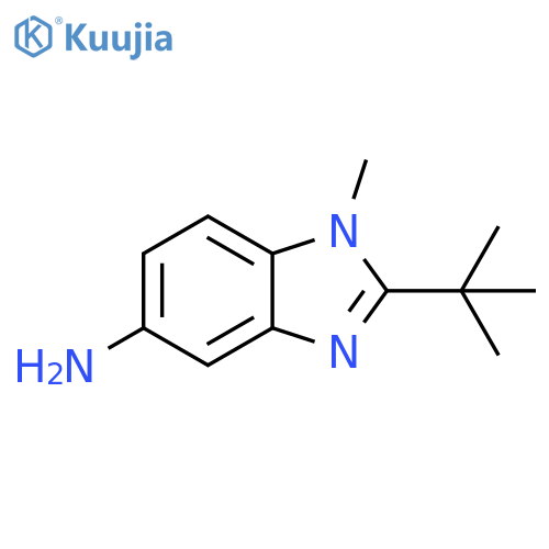 2-tert-butyl-1-methyl-1H-1,3-benzodiazol-5-amine structure