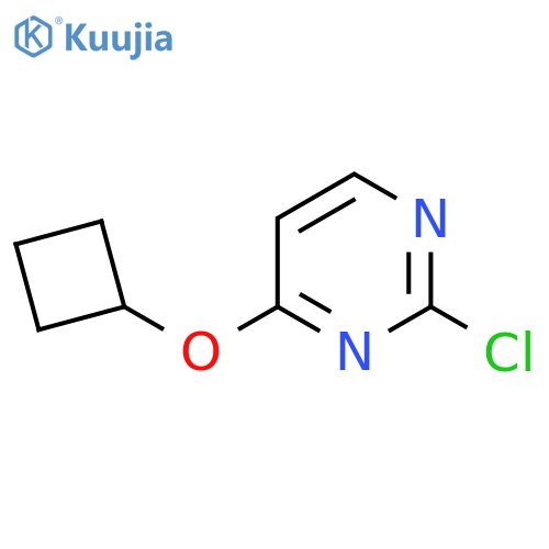 2-Chloro-4-cyclobutoxypyrimidine structure
