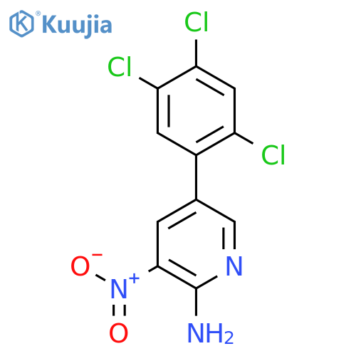 2-Amino-3-nitro-5-(2,4,5-trichlorophenyl)pyridine structure