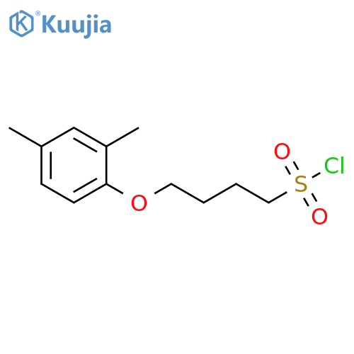 4-(2,4-dimethylphenoxy)butane-1-sulfonyl chloride structure