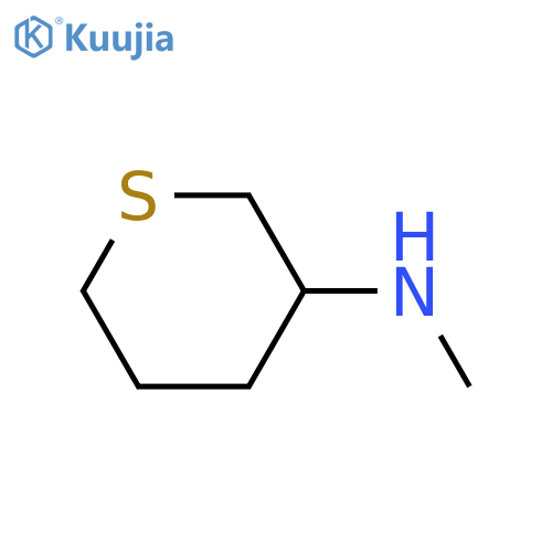 N-methylthian-3-amine structure