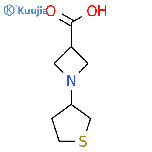 1-(Thiolan-3-yl)azetidine-3-carboxylic acid structure