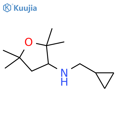 N-(cyclopropylmethyl)-2,2,5,5-tetramethyloxolan-3-amine structure