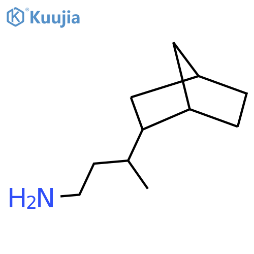 3-{bicyclo2.2.1heptan-2-yl}butan-1-amine structure