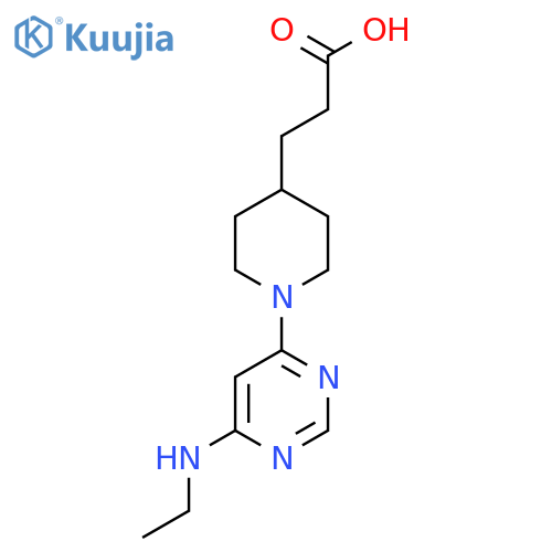 3-{1-[6-(ethylamino)pyrimidin-4-yl]piperidin-4-yl}propanoic acid structure