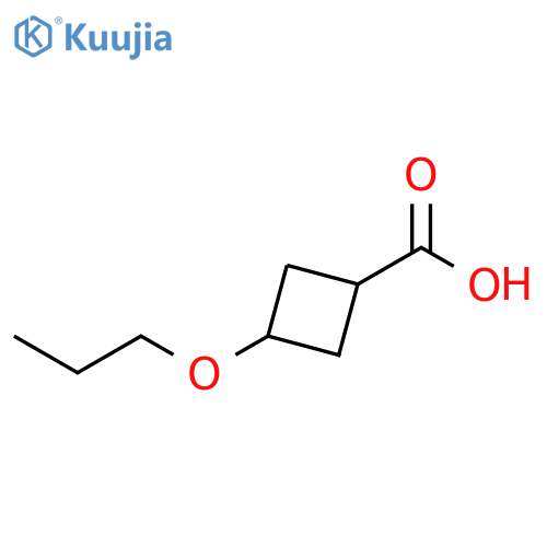 3-propoxycyclobutane-1-carboxylic acid structure
