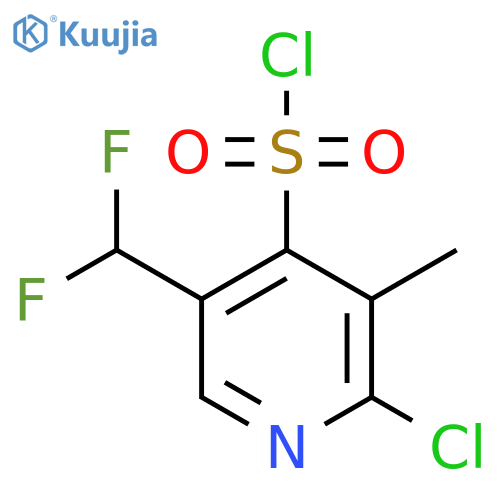 2-Chloro-5-(difluoromethyl)-3-methylpyridine-4-sulfonyl chloride structure