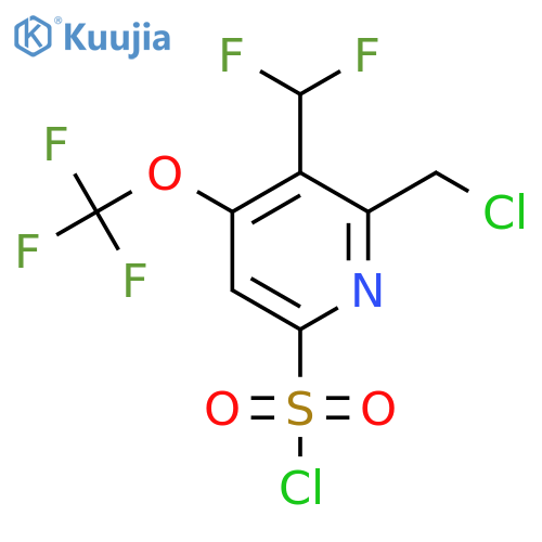 2-(Chloromethyl)-3-(difluoromethyl)-4-(trifluoromethoxy)pyridine-6-sulfonyl chloride structure