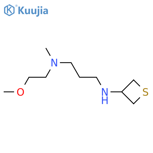 N-{3-[(2-methoxyethyl)(methyl)amino]propyl}thietan-3-amine structure