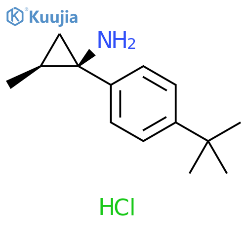 (1R,2S)-1-(4-tert-butylphenyl)-2-methylcyclopropan-1-amine hydrochloride, trans structure