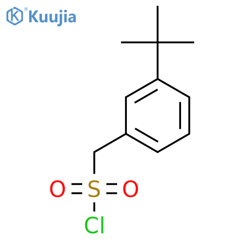 (3-tert-butylphenyl)methanesulfonyl chloride structure