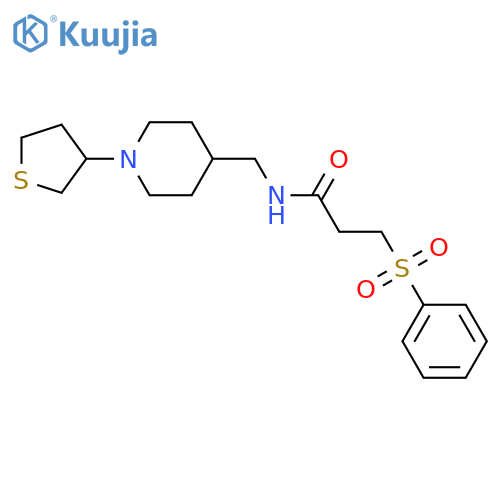 3-(benzenesulfonyl)-N-{[1-(thiolan-3-yl)piperidin-4-yl]methyl}propanamide structure