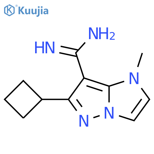 6-cyclobutyl-1-methyl-1H-imidazo[1,2-b]pyrazole-7-carboximidamide structure