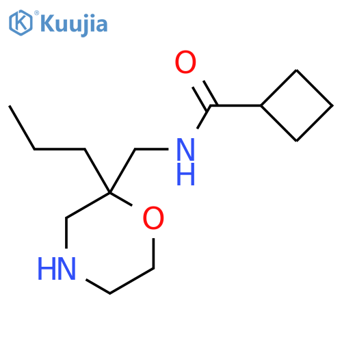 N-[(2-propylmorpholin-2-yl)methyl]cyclobutanecarboxamide structure