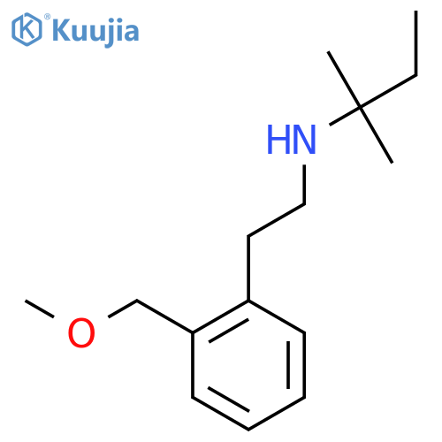 {2-[2-(Methoxymethyl)phenyl]ethyl}(2-methylbutan-2-yl)amine structure