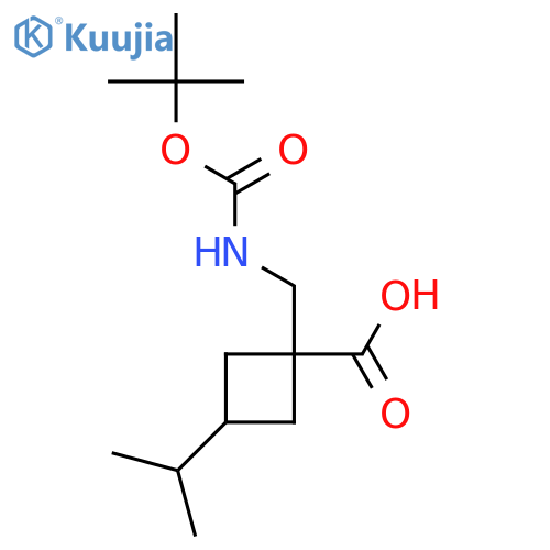 1-({(tert-butoxy)carbonylamino}methyl)-3-(propan-2-yl)cyclobutane-1-carboxylic acid structure