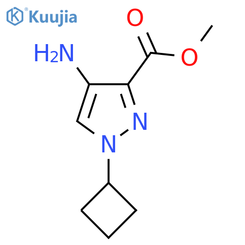 methyl 4-amino-1-cyclobutyl-1H-pyrazole-3-carboxylate structure