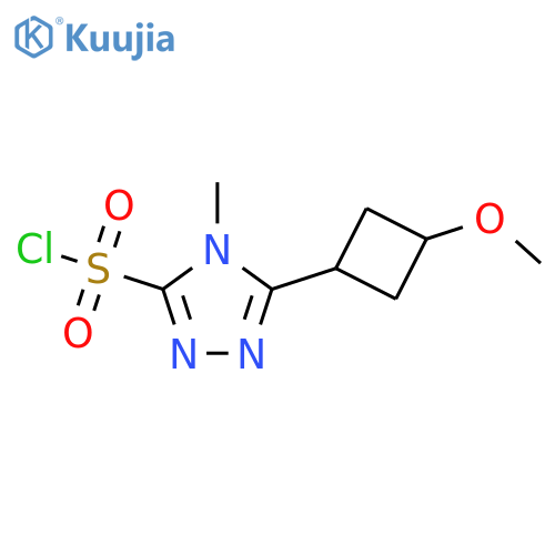 5-(3-methoxycyclobutyl)-4-methyl-4H-1,2,4-triazole-3-sulfonyl chloride structure