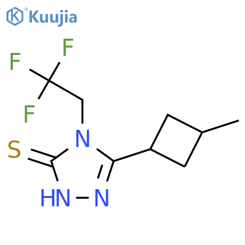 3-(3-methylcyclobutyl)-4-(2,2,2-trifluoroethyl)-1H-1,2,4-triazole-5-thione structure