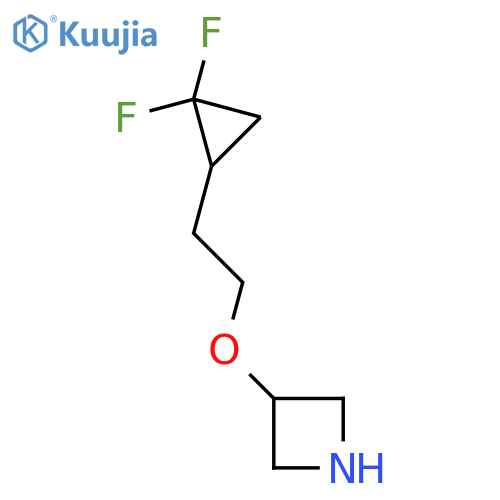 3-2-(2,2-difluorocyclopropyl)ethoxyazetidine structure