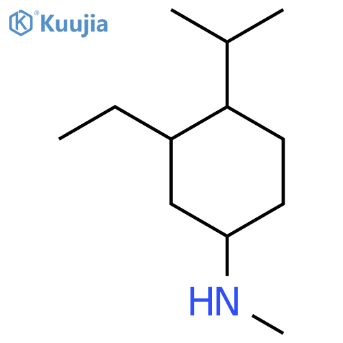 3-ethyl-N-methyl-4-(propan-2-yl)cyclohexan-1-amine structure