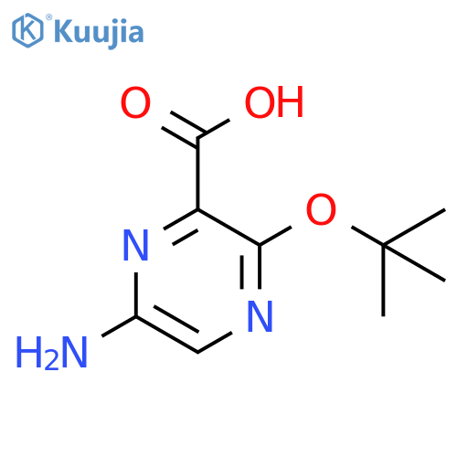 2-Pyrazinecarboxylic acid, 6-amino-3-(1,1-dimethylethoxy)- structure