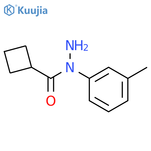 N-(3-methylphenyl)cyclobutanecarbohydrazide structure