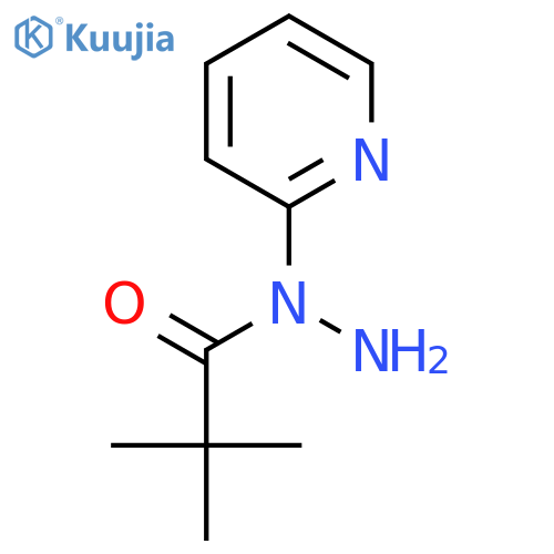 2,2-dimethyl-N-(pyridin-2-yl)propanehydrazide structure