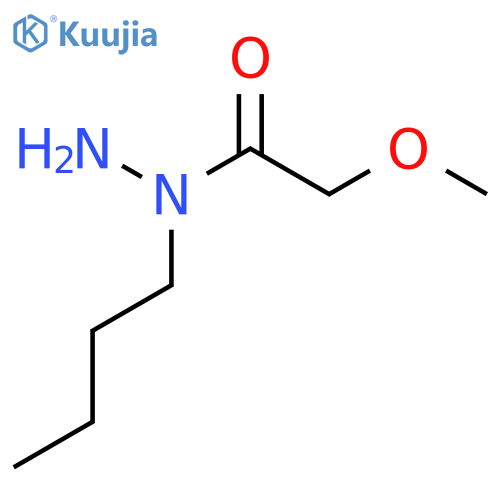 N-butyl-2-methoxyacetohydrazide structure