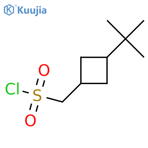 (3-Tert-butylcyclobutyl)methanesulfonyl chloride structure