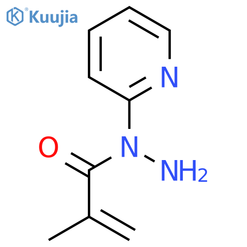 2-methyl-N-(pyridin-2-yl)prop-2-enehydrazide structure