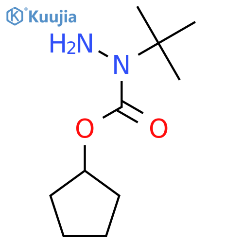 N-tert-butyl-1-(cyclopentyloxy)formohydrazide structure