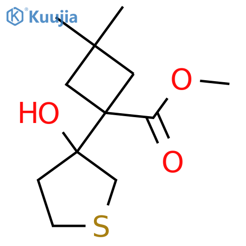 methyl 1-(3-hydroxythiolan-3-yl)-3,3-dimethylcyclobutane-1-carboxylate structure