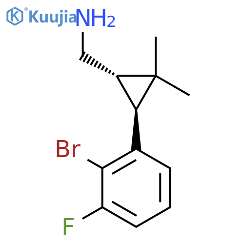 rac-(1R,3R)-3-(2-bromo-3-fluorophenyl)-2,2-dimethylcyclopropylmethanamine structure