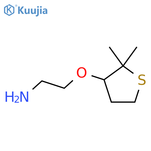 2-(2,2-dimethylthiolan-3-yl)oxyethan-1-amine structure