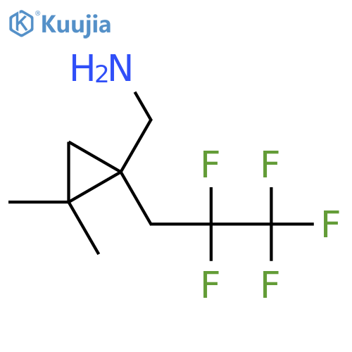 2,2-dimethyl-1-(2,2,3,3,3-pentafluoropropyl)cyclopropylmethanamine structure